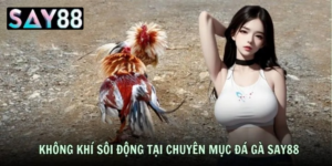 Khám phá hệ thống hình thức thi đấu phong phú tại Đá Gà Nòi Say88 