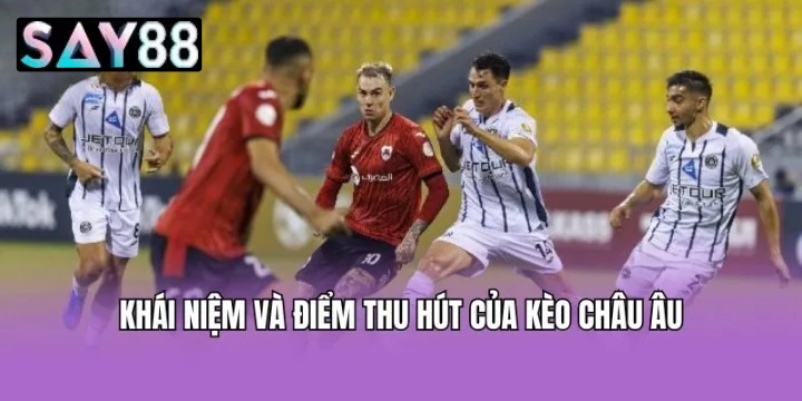 Bí Quyết Chinh Phục Từ Dân Chuyên Nghiệp Khi Trải Nghiệm Kèo Châu Âu Say88