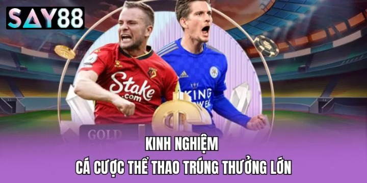 Lý Do Sảnh Cược Thể Thao Say88 Nhà Cái Thu Hút Đông Đảo Cược Thủ